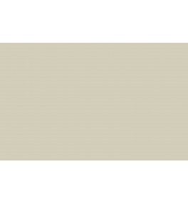 Little Greene Paints Green Stone - Light