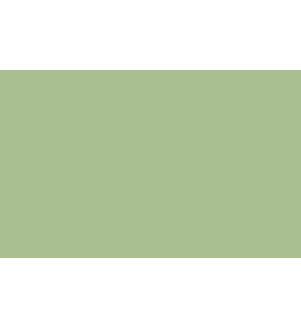 Little Greene Paints Pea Green