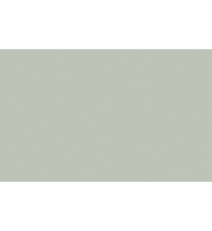 Little Greene Paints Pearl Colour - Dark