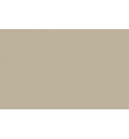 Little Greene Paints Slaked Lime - Dark