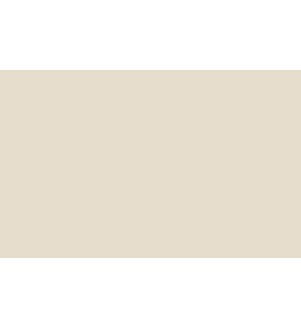 Little Greene Paints Slaked Lime - Mid