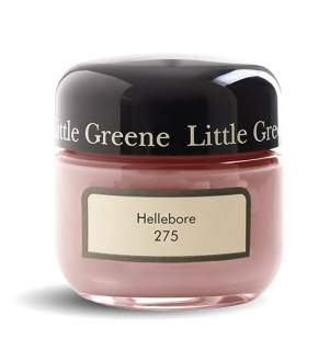 Little Greene Paints - Sample Hellebore