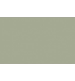 Little Greene Paints Boringdon Green