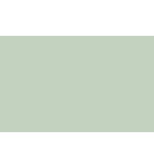 Little Greene Paints Salix