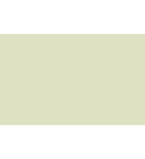Little Greene Paints Acorn