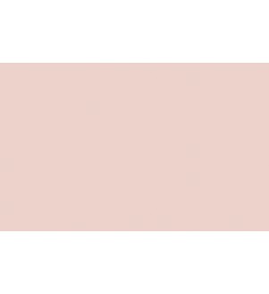 Little Greene Paints Pink Slip