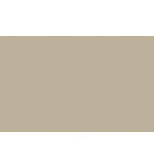 Little Greene Paints Slaked Lime - Dark