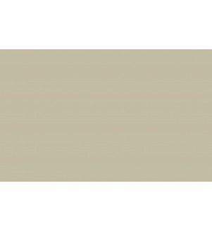 Little Greene Paints Book Room Green