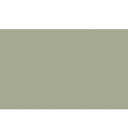 Little Greene Paints Boringdon Green