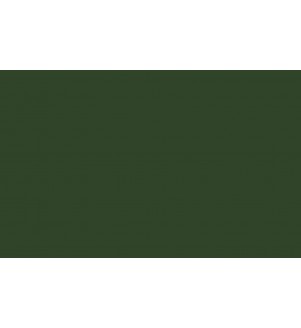 Little Greene Paints Dark Brunswick Green