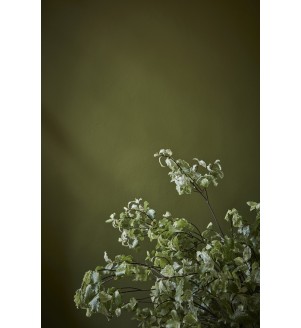 Citrine | Citrine 71.jpg