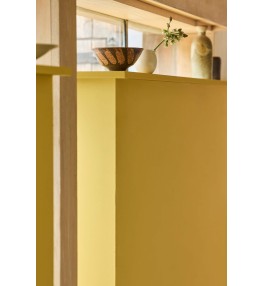 Yellow-Pink | Yellow-Pink.jpg