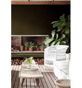 Invisible Green | Invisible Green 56 Exterior.jpg