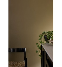 Light Bronze Green | Light Bronze Green - Detail.jpg