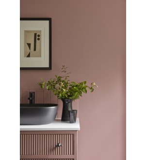 Blush, Hellebore | Hellebore 275, Blush 267.jpg