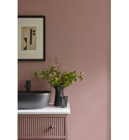 Blush, Hellebore | Hellebore 275, Blush 267.jpg