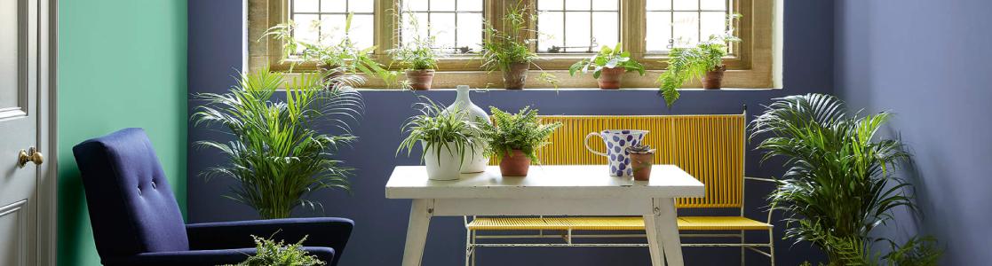 Little Greene Paints